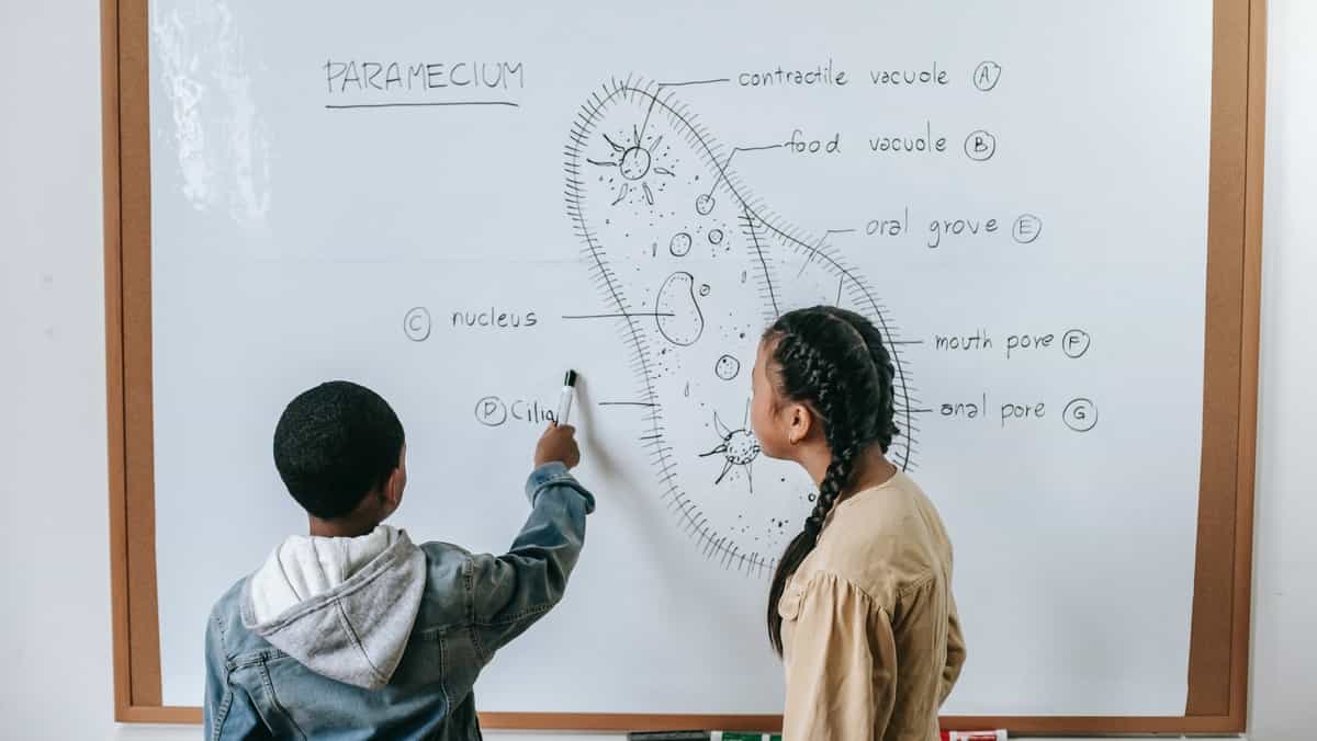 Biology a top major to consider in 2022