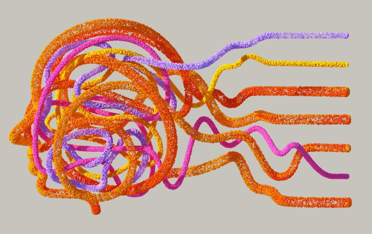Is Neuroscience a Good Major? Exploring the Pros and Cons