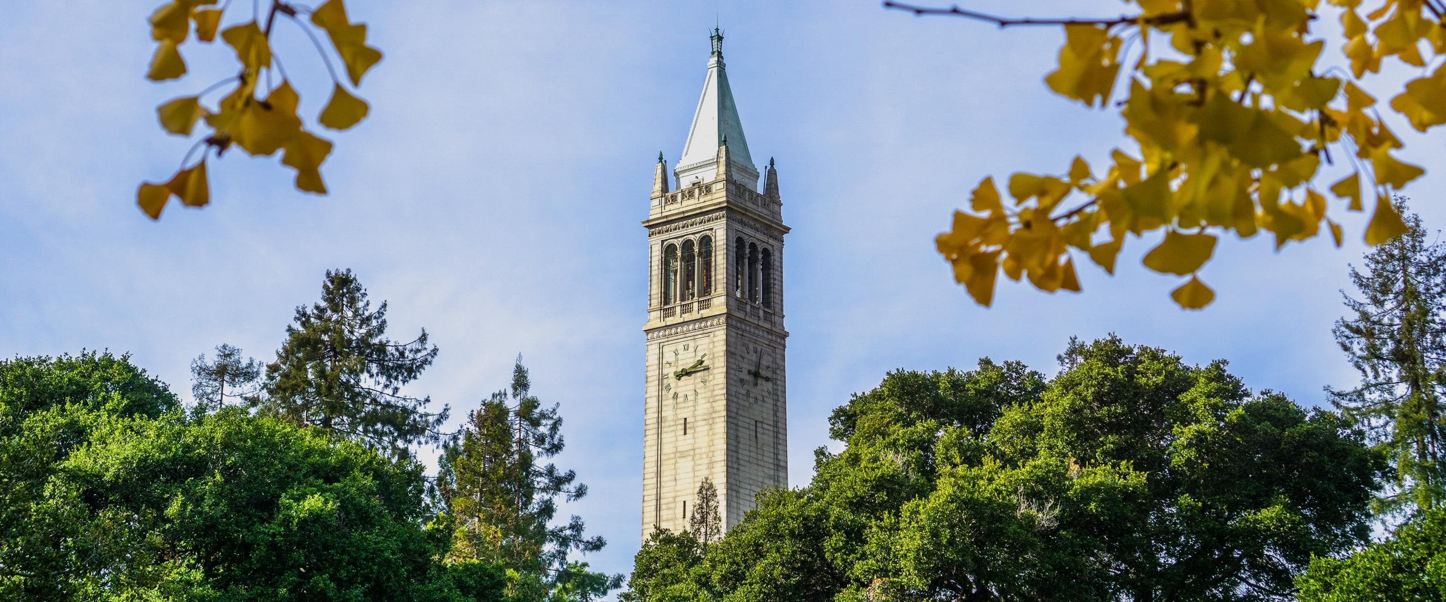 Test-Blind/Free Colleges 2026/27: The Complete List and How to Apply Without Scores