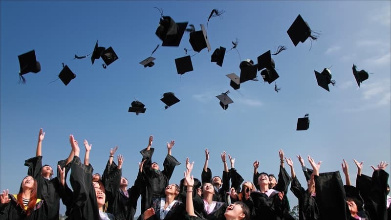 Dual Degree vs Double Major: Navigating Your Academic Choices
