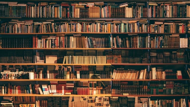How To Show Intellectual Curiosity on Your Top College Application