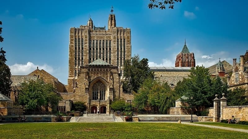 Yale Acceptance Rate and Admissions Results: Class of 2029 and 2030