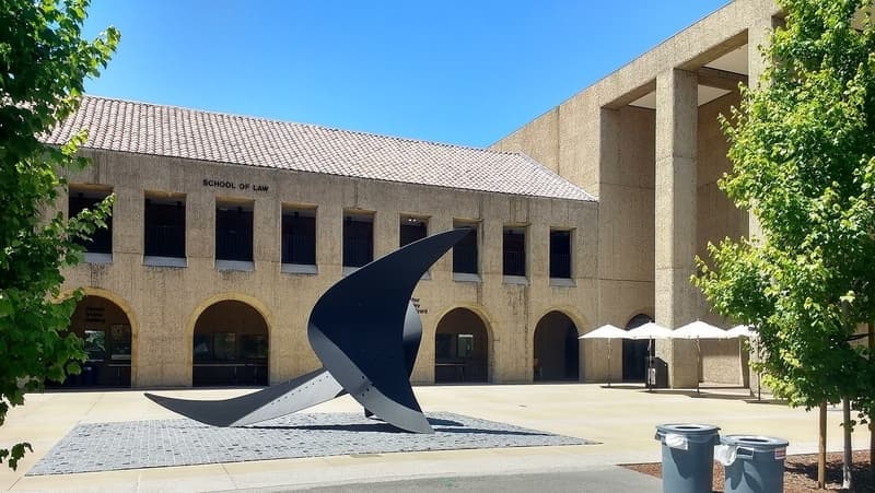What Should I Do If I Get a College Rejection Letter?