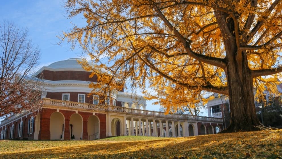 UVA Admits 15.3% Of Students To The Class of 2029